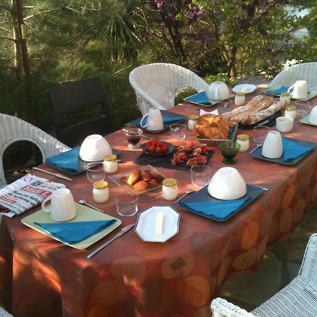 Saint-Jean-de-Cuculles L'Ostal Du Pic St Loup Bed & Breakfast エクステリア 写真